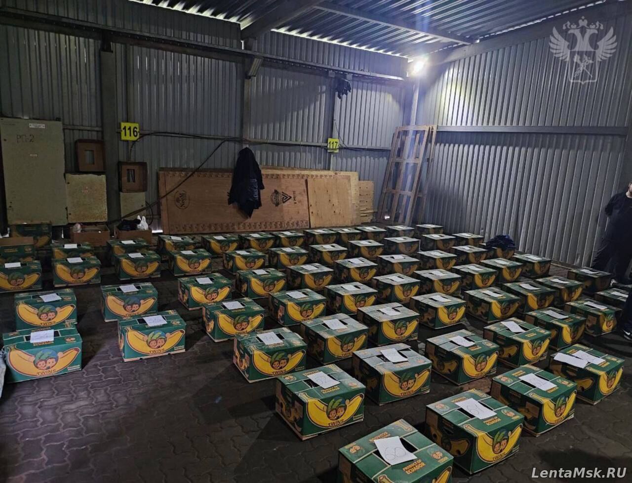 В Петербурге изъяли рекордную партию кокаина на 20 млрд рублей, спрятанную в бананах