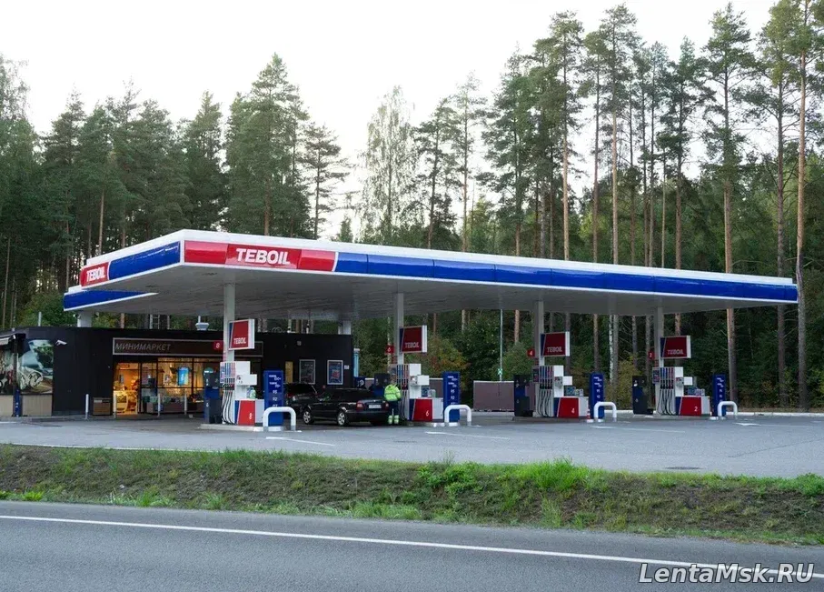 Teboil и проект «Сохрани лес» начали партнерство для восстановления российских лесов